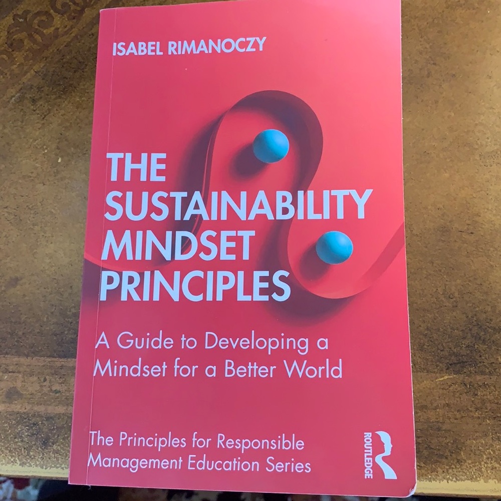 The sustainability mindset principles